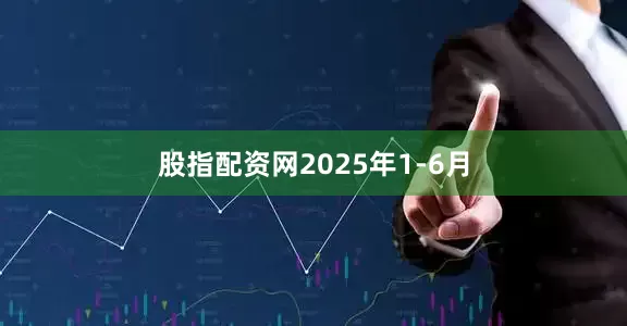 股指配资网　　2025年1-6月