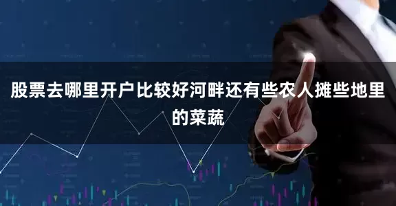 股票去哪里开户比较好河畔还有些农人摊些地里的菜蔬