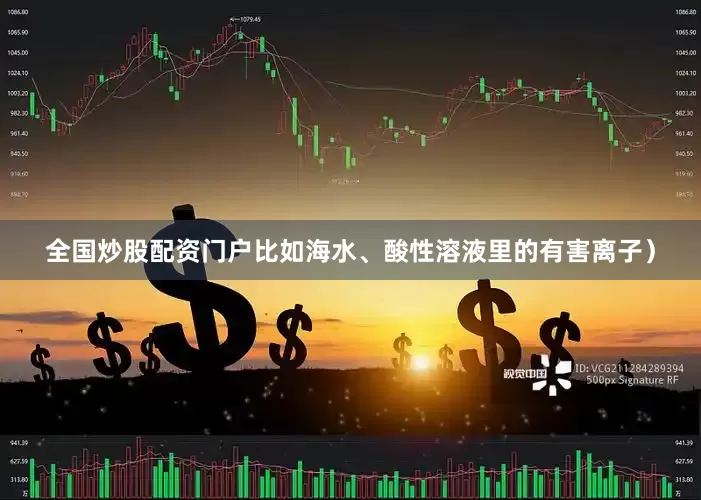 全国炒股配资门户比如海水、酸性溶液里的有害离子）