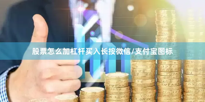 股票怎么加杠杆买入长按微信/支付宝图标