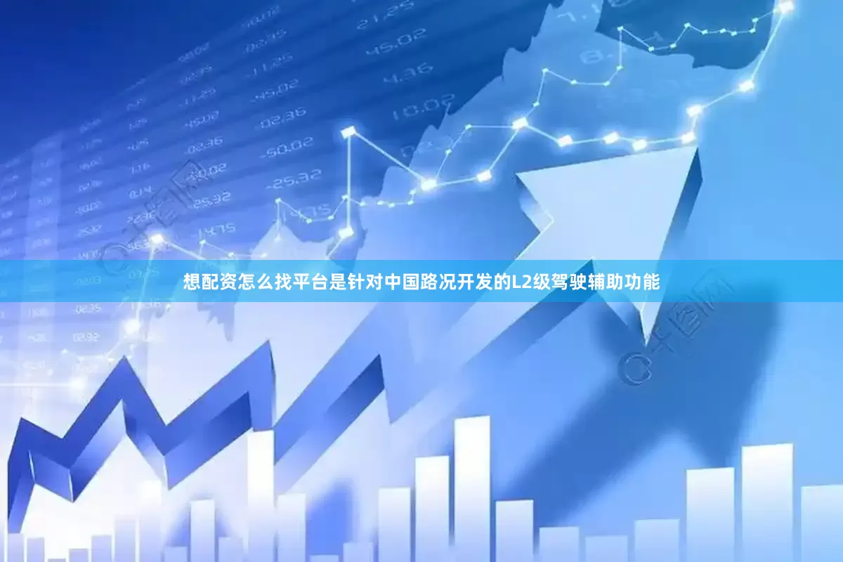 想配资怎么找平台是针对中国路况开发的L2级驾驶辅助功能